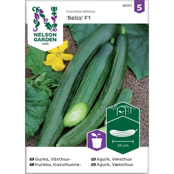 Växthusgurka 'Bella' F1