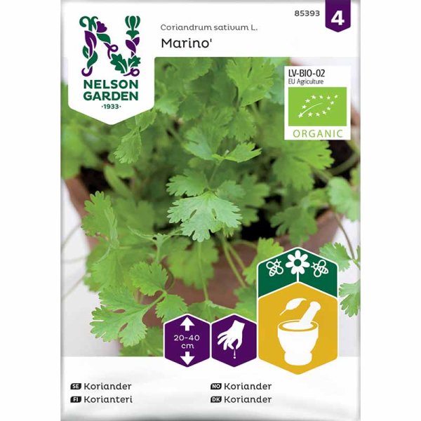 Coriander 'Marino'