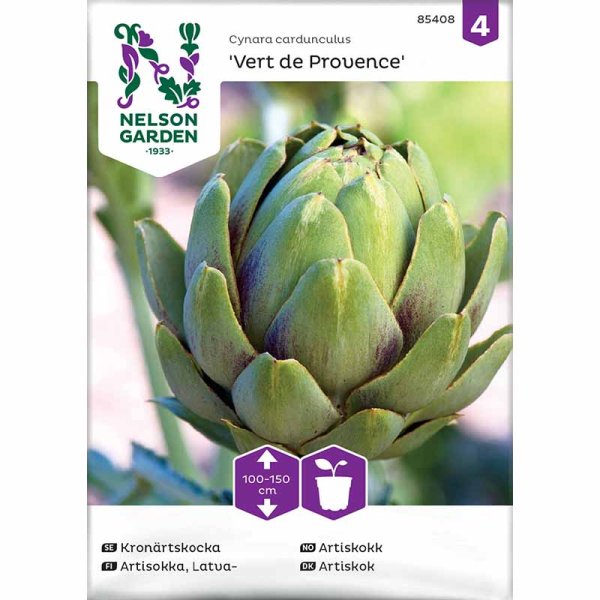 Artichoke 'Vert de Provence'