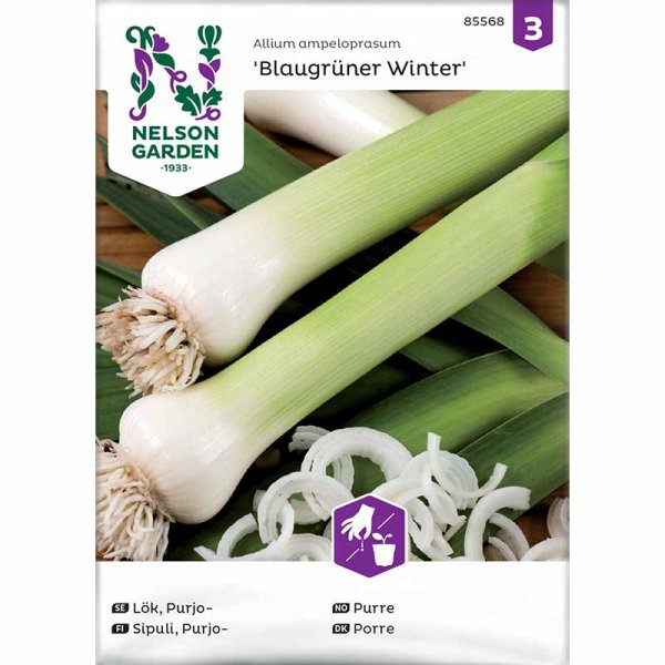 Leek 'Blaugrüner Winter'