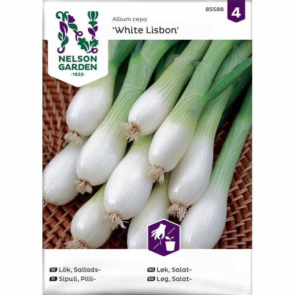 Spring Onion 'White Lisbon'