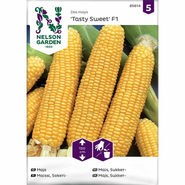Sweet Corn 'Tasty Sweet' F1
