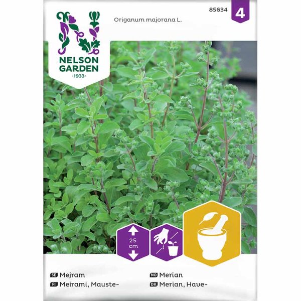 Marjoram