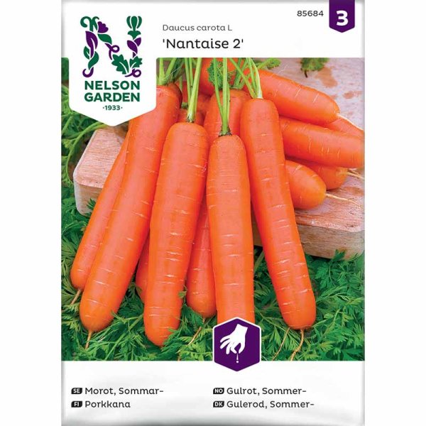 Summer Carrot 'Nantaise 2'