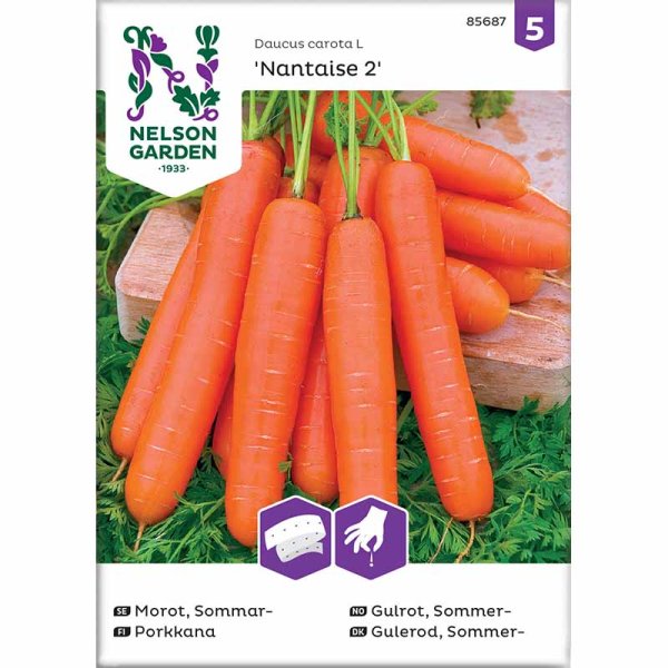 Summer Carrot 'Nantaise 2' Seed Tape