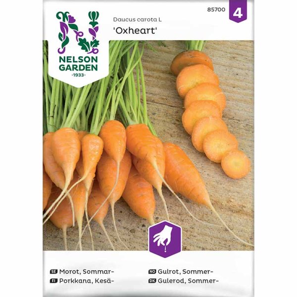 Summer Carrot 'Oxheart'