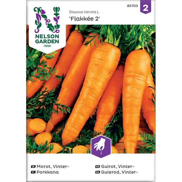 Winter Carrot 'Flakkée 2'