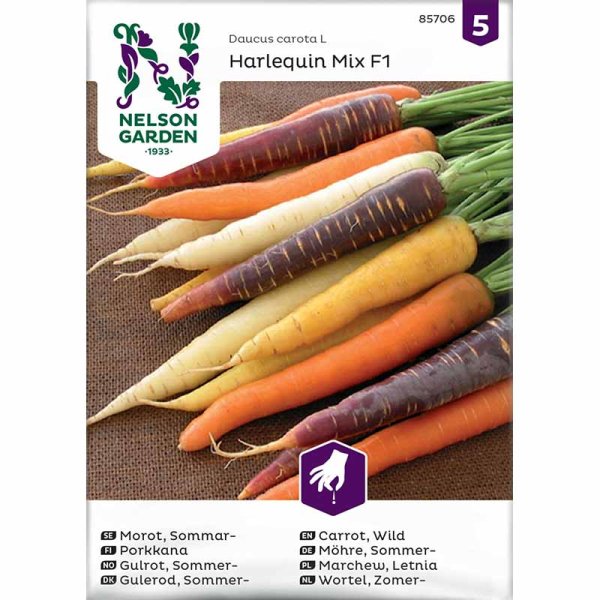 Summer Carrot 'Harlequin Mix' F1