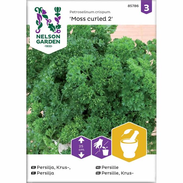 Parsley 'Moss Curled 2'