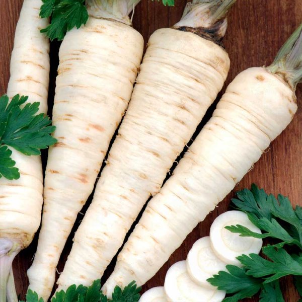 Root Parsley 'Halblange'