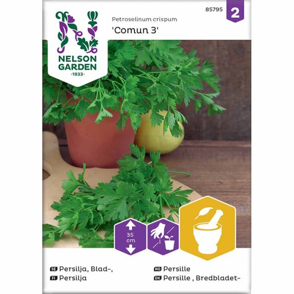 Flat-leaf Parsley 'Comun 3'