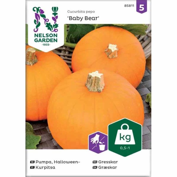 Mini Pumpkin 'Baby Bear'