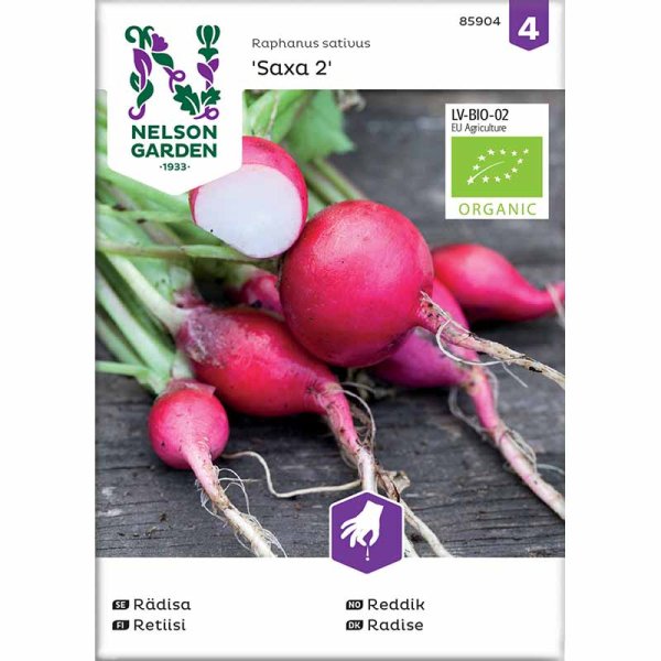 Radish 'Saxa 2' Organic