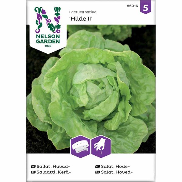 Head Lettuce 'Hilde II' Seed Tape