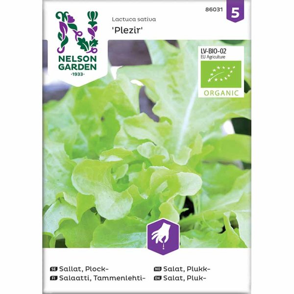 Loose leaf lettuce 'Plezir'