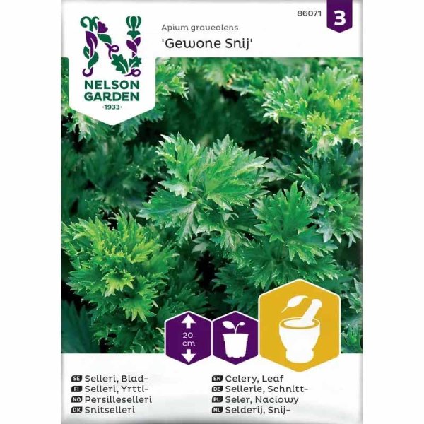 Cutting Celery 'Gewone Snij'