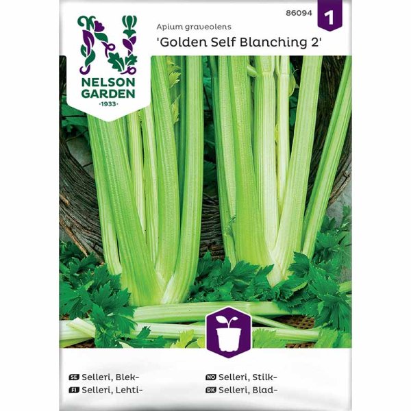 Celery 'Golden Self Blanching 2'