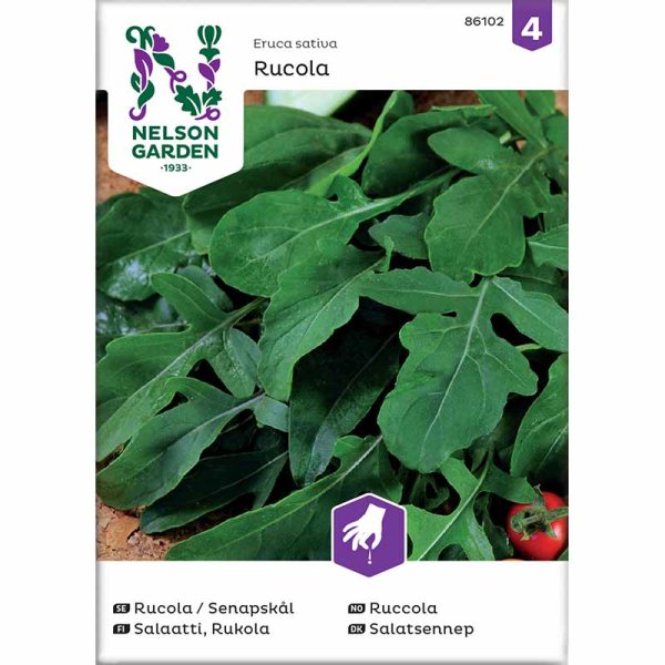 Arugula / Mustard Greens