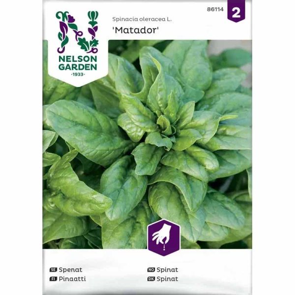 Spinach 'Matador'