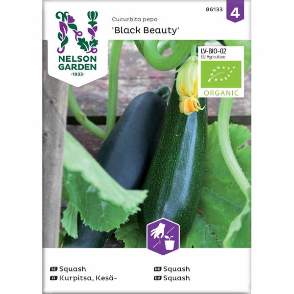Squash / Summer Squash 'Black Beauty'