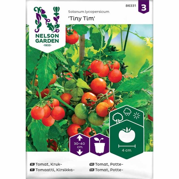 Cherry Tomato 'Tiny Tim'
