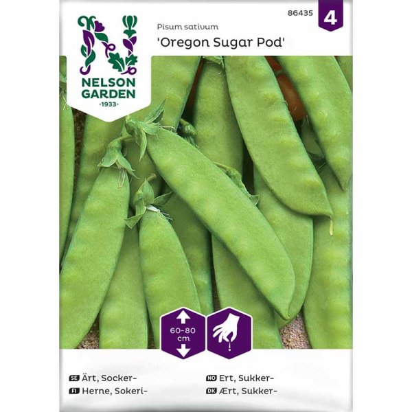 Sugar Pea 'Oregon Sugar Pod'
