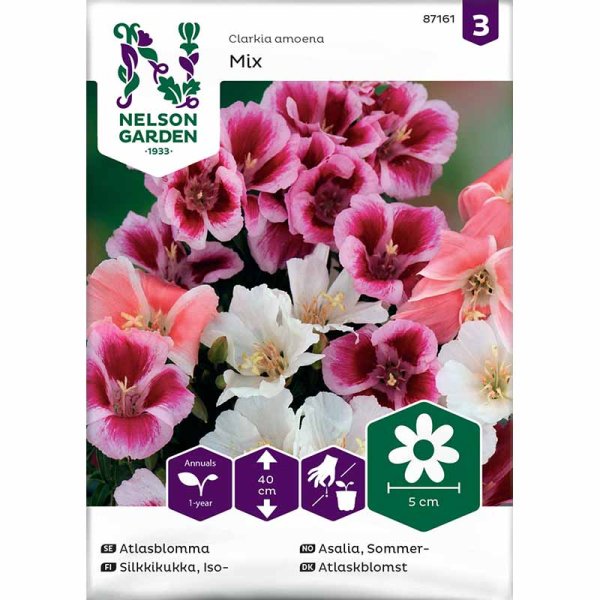 Clarkia mix