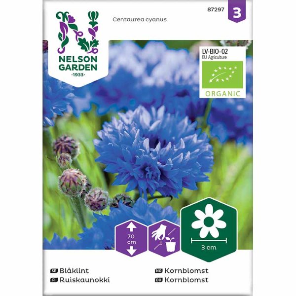 Tall Cornflower Organic