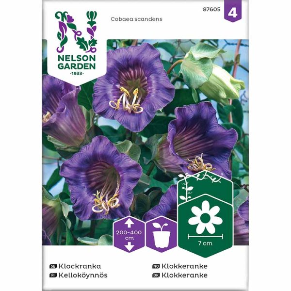 Cup and Saucer Vine blue