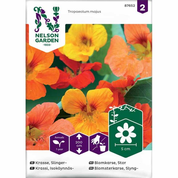 Climbing Nasturtium mix