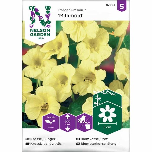 Climbing Nasturtium 'Milkmaid'