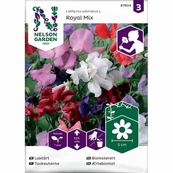 Sweet Pea 'Royal Mix'