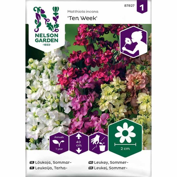 Ten Week Stock 'Ten Week'