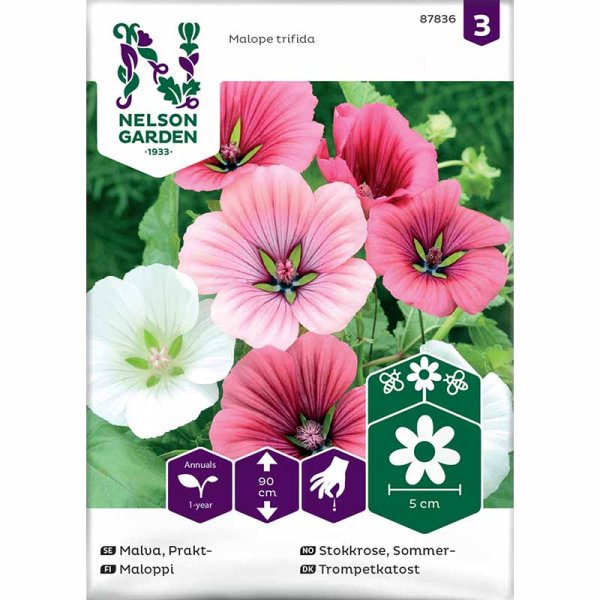 Annual Mallow blandade färger