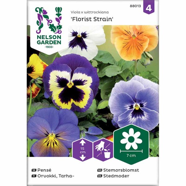 Pansy 'Florist Strain' mix