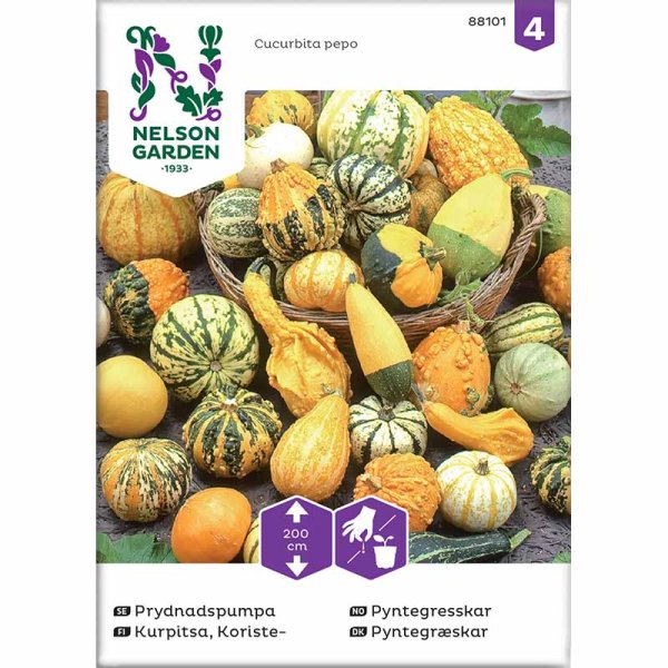 Ornamental Gourd, Mixed Varieties