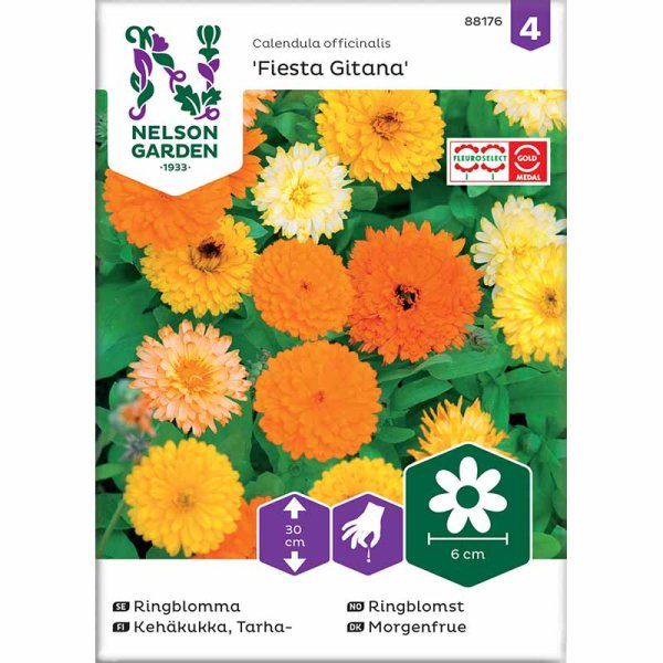 Calendula 'Fiesta Gitana'