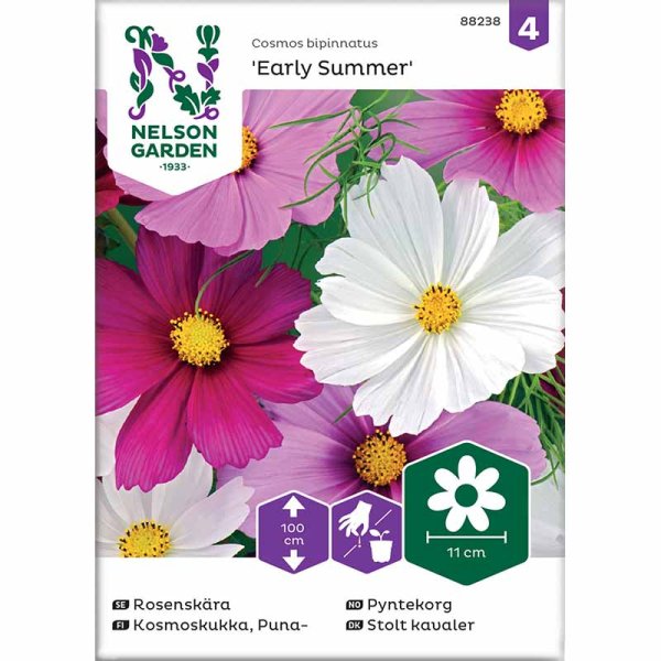 Cosmos 'Early Summer' mix