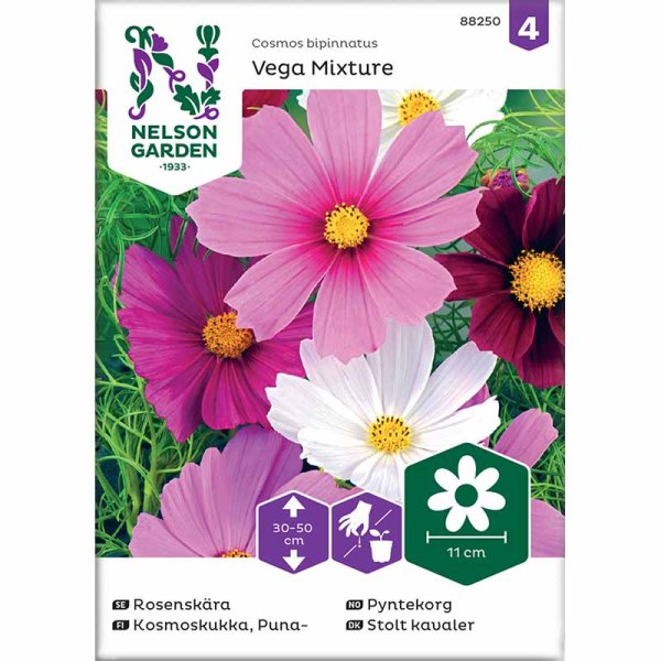 Cosmos 'Vega Mixture'