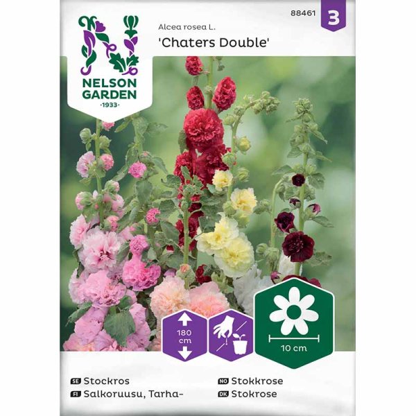 Hollyhock 'Charters dubbel'