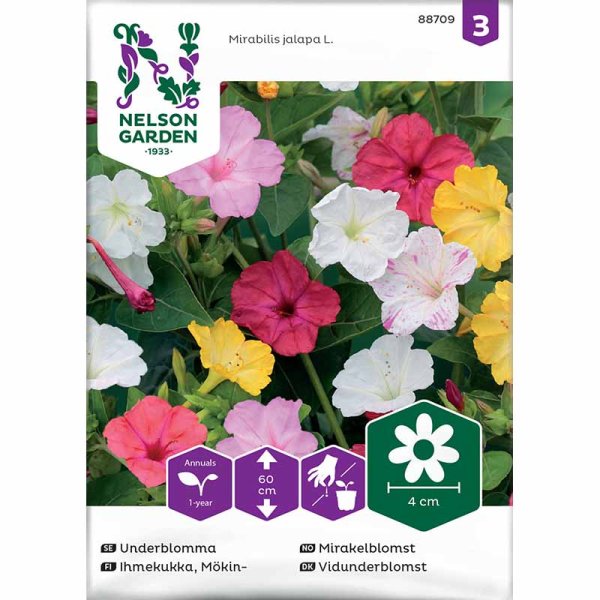 Four o'clock flower mix