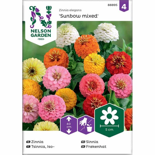 Zinnia Sunbow mixed colors