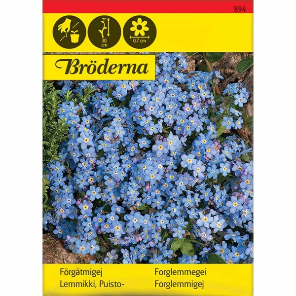 Forget-me-not Blue