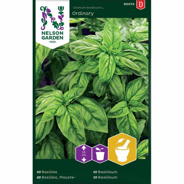 Basil 'Ordinary'