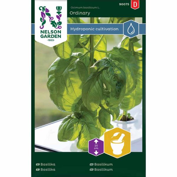 Basil 'Ordinary' - Harvy