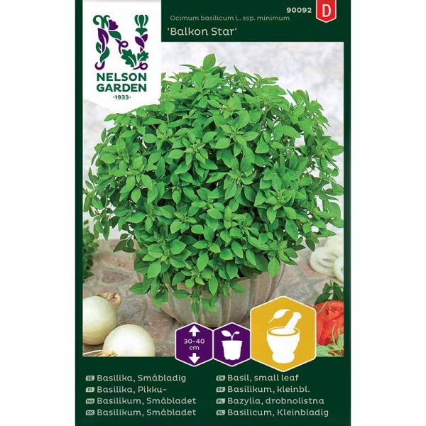 Small-leaved Basil 'Balkon Star'
