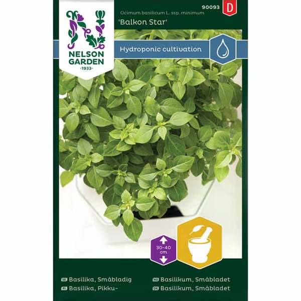 Small-leaved Basil 'Balkon Star' - Harvy