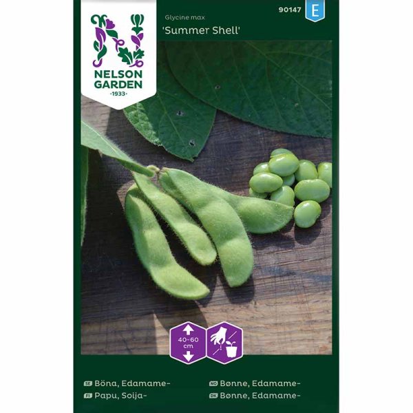 Edamame Bean 'Summer Shell'