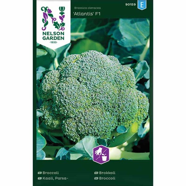 Broccoli 'Atlantis' F1