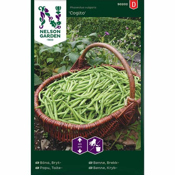Snap bean 'Cogito'